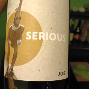 Serious - Villa Job - alessandro-job