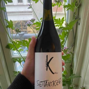 Settantasette - Il Signor Kurtz - marco-durante