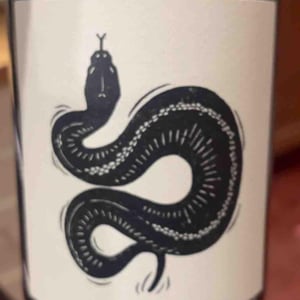 Shadows - Vin Noé - jonathan-purcell