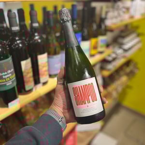 Shampoo - Tenuta l'Armonia - andrea-pendin