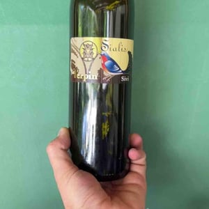 Sialis Grigio - Azienda Agricola Franco Terpin - franco-terpin