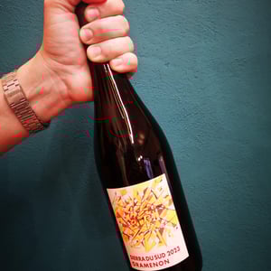 Sierra du Sud - Domaine Gramenon - michele-aubery-laurent-maxime-francois-laurent