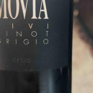 Sivi Pinot Grigio - Movia - ales-kristancic