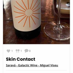 Skin Contact - Saravá - Galactic Wine - miguel-viseu -2024