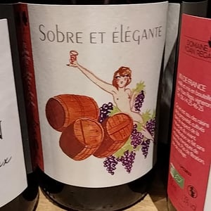 Sobre & élégante - Domaine Yoan Rega - yoan-rega