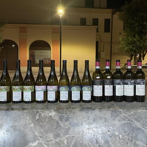 Sogni e follia - Podere Le Ripi - sebastian-nasello -2018