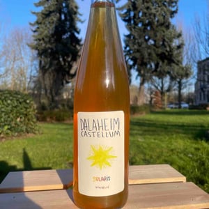 Solaris - Dalaheim Castellum - arthur-joskin -2021