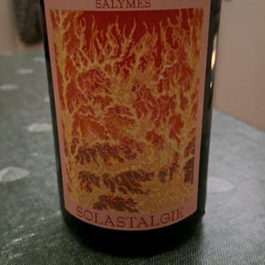 Solastalgie - Paul Barlet - paul-barlet -2024