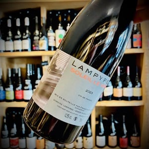Soleil Le Vent - Domaine Lampyres - francois-xavier-daure
