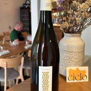 Solsequia - Domaine Dame Jeanne - jeanne-piollot -2022