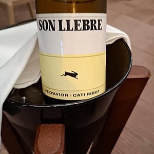 Son llebre blanc - Ve d'Avior - Cati Ribot