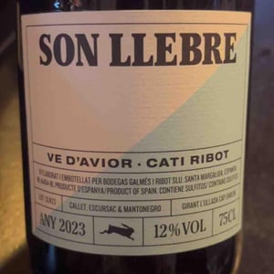 Son llebre negre - Ve d'Avior - cati-ribot -2020