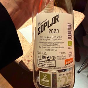 Soplar - Bodegas Moraza - janire-moraza-and-patricio-brongo -2024