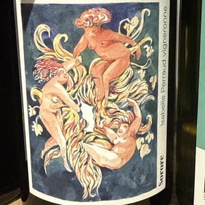 Sorore - Côtes de la Molière - isabelle-bruno-perraud -2021