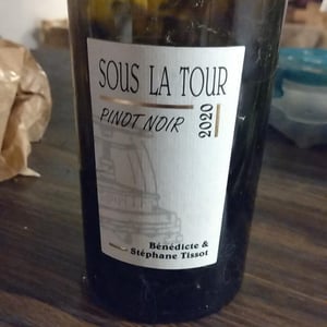 Sous La Tour - Domaine André & Mireille Tissot - benedicte-stephane-tissot