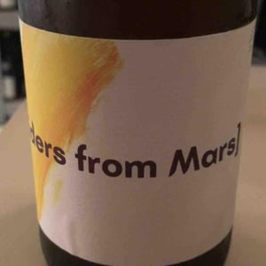 SPIDERS FROM MARS - RUUUTS - Francesc Nicolás -2022