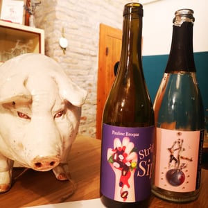 Strip Sip - Domaine des Buis - pauline-broqua -2022