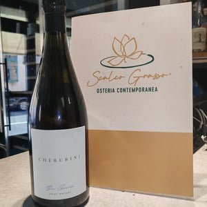 Sui Generis Brut nature - Cherubini - mattia-corbellini -2022