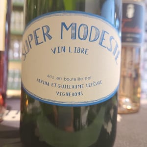 Super Modeste - Domaine de Sulauze - karina-guillaume-lefevre