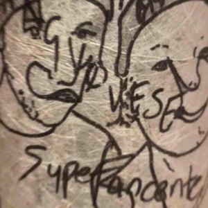 Superfacente - Lucy Margaux Vineyards - anton-van-klopper