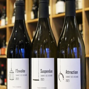 Suspendue - Cabaret des Oiseaux - jude-lucile-spaety -2020