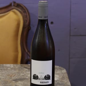 Synthèse Blanc - Domaine Riberach - guilhem-soulignac-j-m-mailloles-patrick-rodrigues-luc-richard