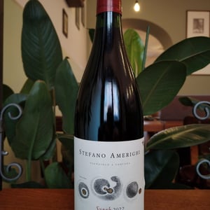 Syrah - Azienda Agricola Stefano Amerighi - stefano-amerighi