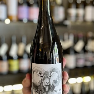 Syrah - Losonci Pince - balint-losonci -2021