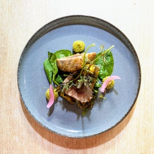 Thon - Le Pebre d’Aï - 912392