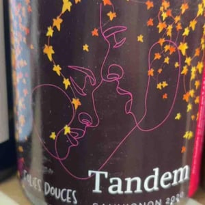 TANDEM - Domaines Les Folies Douces - alison-clement-benoist-dumergue -2020