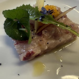 Tartar Di Sugarello - Pesciolino Briaco - 938194