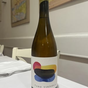 Taro Blanco - Taro Vinícola - pablo-matallana -2022