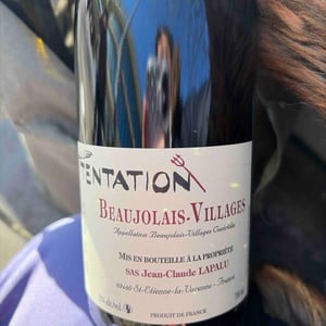 Tentation - Jean-Claude Lapalu - jean-claude-lapalu