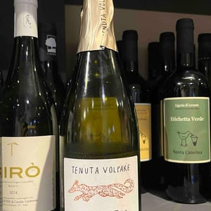 Tenuta Volpare - Tenuta Volpare - tenuta-volpare -2019