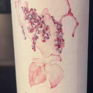 La Giùvna - Azienda Vitivinicola Tère Rüse - gregorio