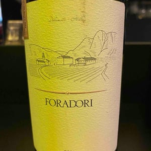 Teroldego - Azienda Agricola Foradori - elisabetta-foradori -2018