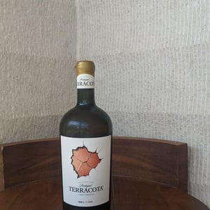 Terracota Branco - Tarelo - tiago-macena -2022