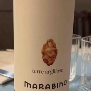 Terre Argillose - Società Agricola Marabino - pierpaolo-messina