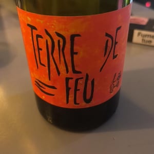 Terre de Feu Rouge - Les Foulards Rouges - Jean-Francois Nicq -2024