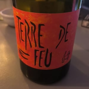 Terre de Feu Rouge - Les Foulards Rouges - Jean-Francois Nicq -2024