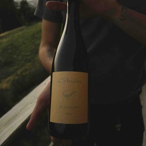 Terre d'Ombre - L'Anglore - Éric, Thibault & Joris Pfifferling