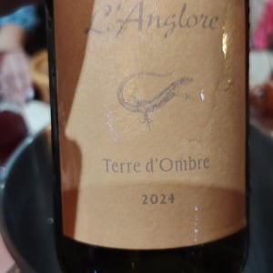 Terre d'Ombre - L'Anglore - eric-thibault-joris-pfifferling