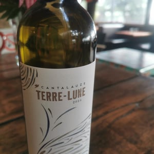 Terre-Lune - Domaine de Cantalauze - pierre-olivier-pauline-laurent -2020