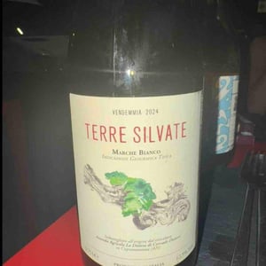 Terre Silvate - La Distesa - corrado-dottori