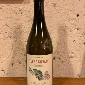 Terre Silvate - La Distesa - corrado-dottori