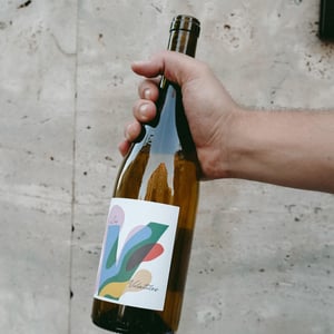 Test Press Blanc - Les Volatiles - Chai Uva - mathilde-bayle-pablo-siranossian -2024