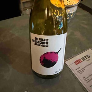 The Velvet Underschiste - Pèira Levada - Alexandre Durand