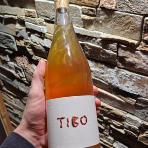 Tibo - Languedoc - thierry-et-pascal-julien -2024