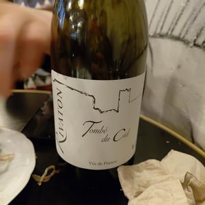 Tombé du ciel - Domaine Rivaton - frederic-rivaton