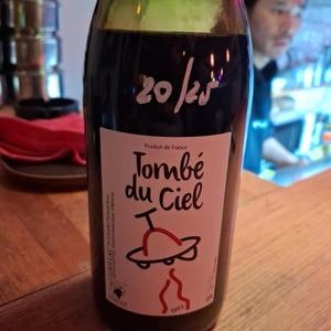 Tombé Du Ciel (Rouge) - L'enclos Des Braves - chantal-nicolas-lebrun